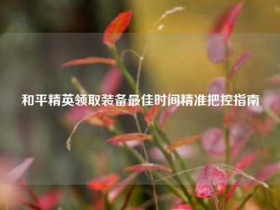 和平精英领取装备最佳时间精准把控指南