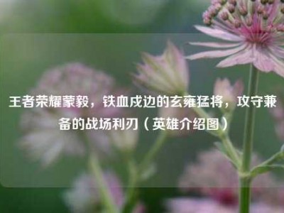 王者荣耀蒙毅，铁血戍边的玄雍猛将，攻守兼备的战场利刃（英雄介绍图）