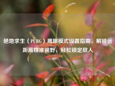 绝地求生（PUBG）鹰眼模式设置指南，解锁远距离精准视野，轻松锁定敌人
