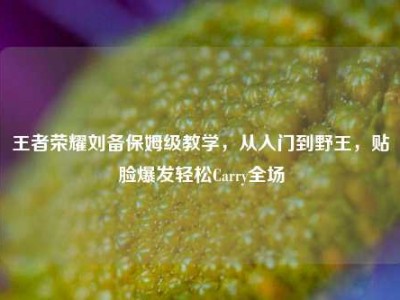 王者荣耀刘备保姆级教学，从入门到野王，贴脸爆发轻松Carry全场