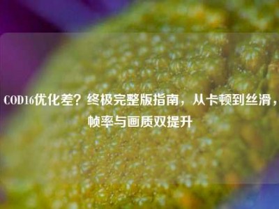 COD16优化差？终极完整版指南，从卡顿到丝滑，帧率与画质双提升