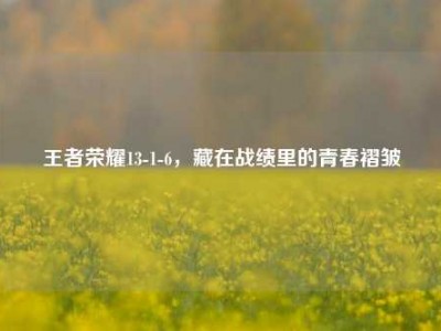 王者荣耀13-1-6，藏在战绩里的青春褶皱