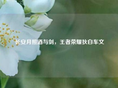 长安月照酒与剑，王者荣耀狄白车文