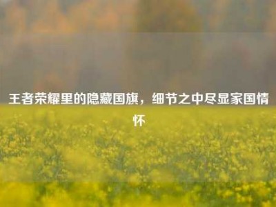 王者荣耀里的隐藏国旗，细节之中尽显家国情怀