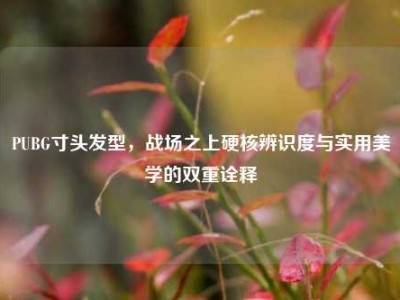 PUBG寸头发型，战场之上硬核辨识度与实用美学的双重诠释