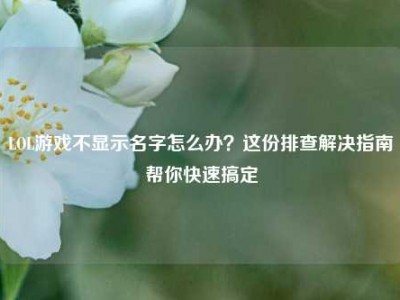 LOL游戏不显示名字怎么办？这份排查解决指南帮你快速搞定