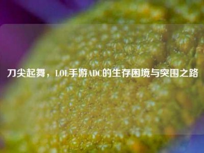 刀尖起舞，LOL手游ADC的生存困境与突围之路