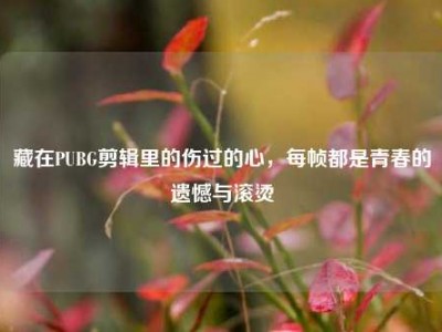 藏在PUBG剪辑里的伤过的心，每帧都是青春的遗憾与滚烫