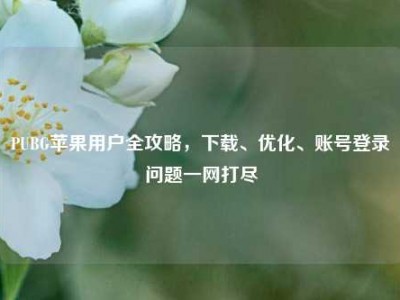 PUBG苹果用户全攻略，下载、优化、账号登录问题一网打尽