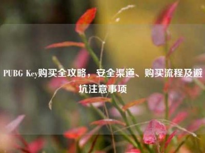 PUBG Key购买全攻略，安全渠道、购买流程及避坑注意事项