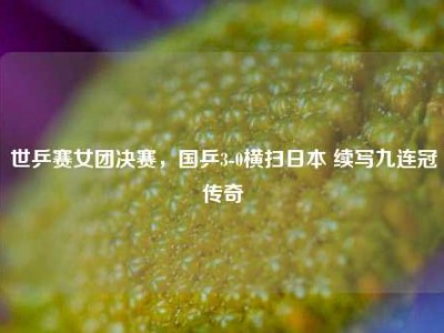 世乒赛女团决赛，国乒3-0横扫日本 续写九连冠传奇