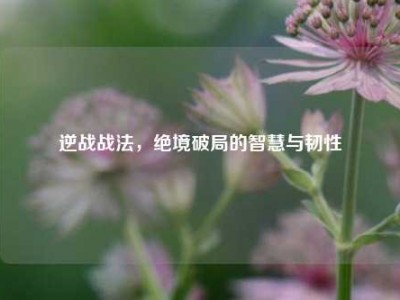 逆战战法，绝境破局的智慧与韧性