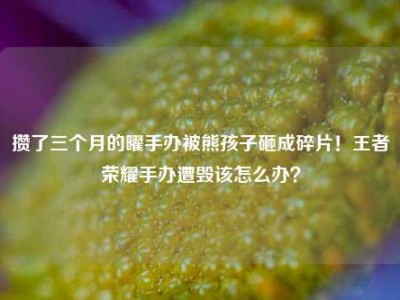 攒了三个月的曜手办被熊孩子砸成碎片！王者荣耀手办遭毁该怎么办？