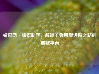 蜻蜓网·蜻蜓助手，解锁王者荣耀进阶之路的宝藏平台