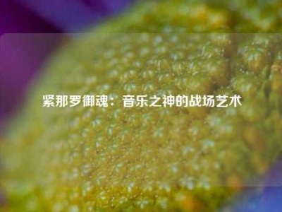 紧那罗御魂：音乐之神的战场艺术