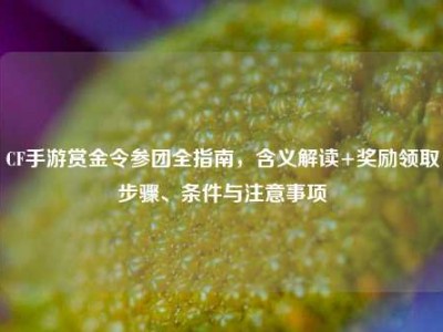 CF手游赏金令参团全指南，含义解读+奖励领取步骤、条件与注意事项