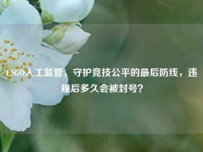 CSGO人工监管，守护竞技公平的最后防线，违规后多久会被封号？