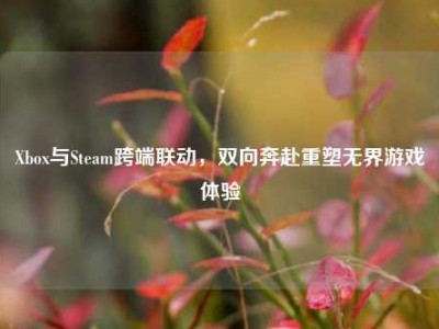 Xbox与Steam跨端联动，双向奔赴重塑无界游戏体验