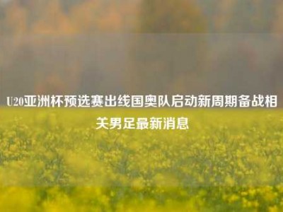 U20亚洲杯预选赛出线国奥队启动新周期备战相关男足最新消息