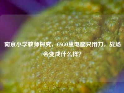 南京小学教师探究，CSGO里电脑只用刀，战场会变成什么样？
