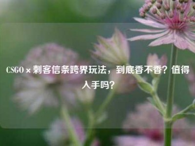 CSGO×刺客信条跨界玩法，到底香不香？值得入手吗？