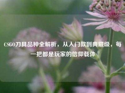 CSGO刀具品种全解析，从入门款到典藏级，每一把都是玩家的信仰载体