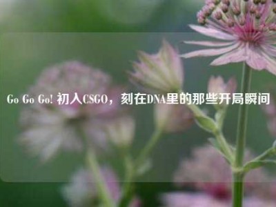 Go Go Go! 初入CSGO，刻在DNA里的那些开局瞬间