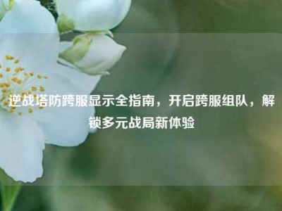 逆战塔防跨服显示全指南，开启跨服组队，解锁多元战局新体验