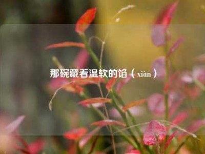那碗藏着温软的馅（xiàn）