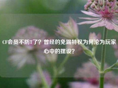 CF会员不防T了？曾经的免踢特权为何沦为玩家心中的摆设？