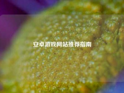 安卓游戏网站推荐指南