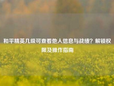 和平精英几级可查看他人信息与战绩？解锁权限及操作指南
