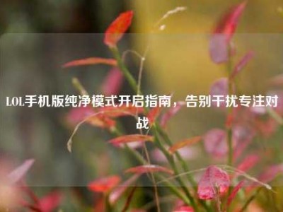 LOL手机版纯净模式开启指南，告别干扰专注对战