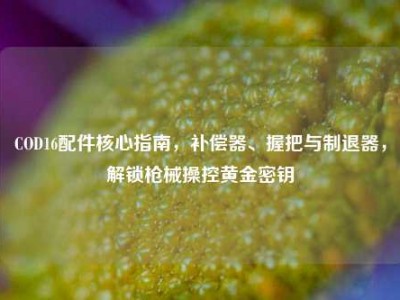 COD16配件核心指南，补偿器、握把与制退器，解锁枪械操控黄金密钥