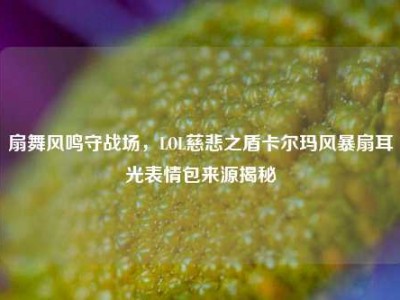 扇舞风鸣守战场，LOL慈悲之盾卡尔玛风暴扇耳光表情包来源揭秘