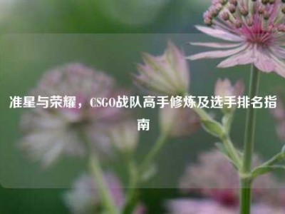 准星与荣耀，CSGO战队高手修炼及选手排名指南