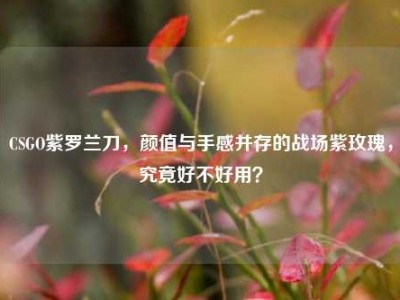 CSGO紫罗兰刀，颜值与手感并存的战场紫玫瑰，究竟好不好用？