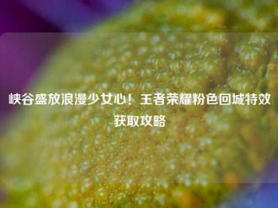 峡谷盛放浪漫少女心！王者荣耀粉色回城特效获取攻略