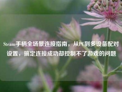 Steam手柄全场景连接指南，从PC到多设备配对设置，搞定连接成功却控制不了游戏的问题