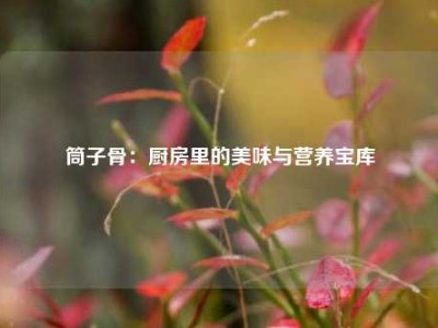 筒子骨：厨房里的美味与营养宝库