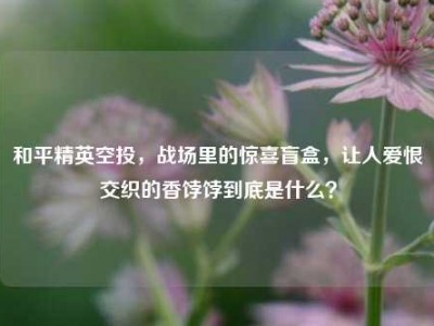 和平精英空投，战场里的惊喜盲盒，让人爱恨交织的香饽饽到底是什么？
