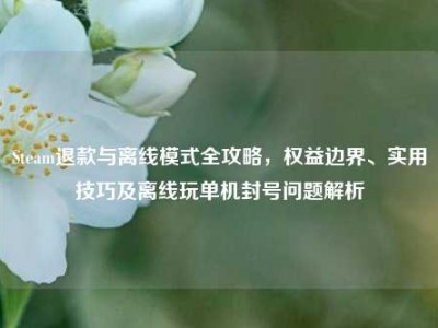 Steam退款与离线模式全攻略，权益边界、实用技巧及离线玩单机封号问题解析