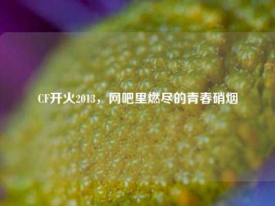 CF开火2013，网吧里燃尽的青春硝烟