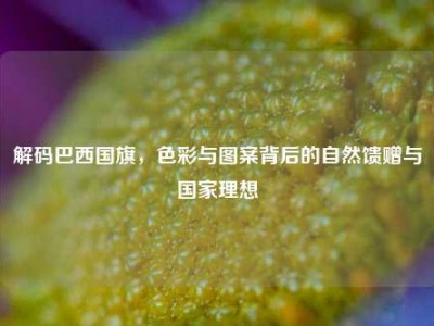 解码巴西国旗，色彩与图案背后的自然馈赠与国家理想