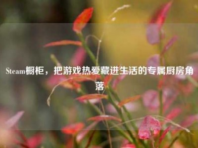 Steam橱柜，把游戏热爱藏进生活的专属厨房角落