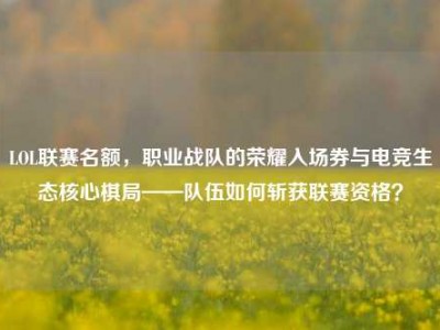 LOL联赛名额，职业战队的荣耀入场券与电竞生态核心棋局——队伍如何斩获联赛资格？