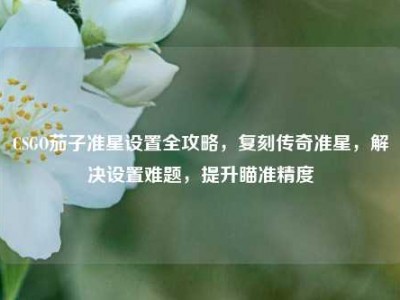 CSGO茄子准星设置全攻略，复刻传奇准星，解决设置难题，提升瞄准精度
