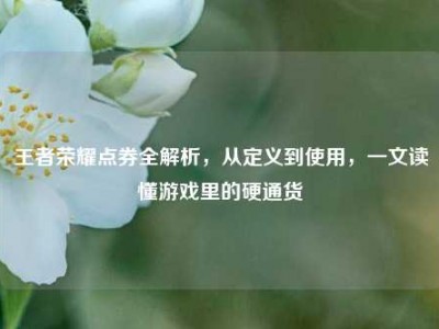 王者荣耀点券全解析，从定义到使用，一文读懂游戏里的硬通货