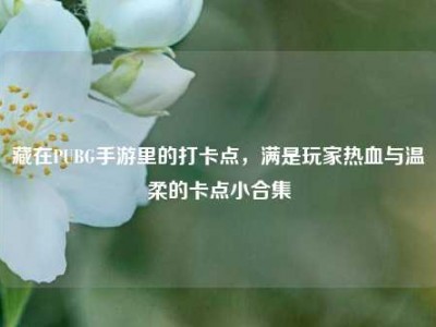 藏在PUBG手游里的打卡点，满是玩家热血与温柔的卡点小合集