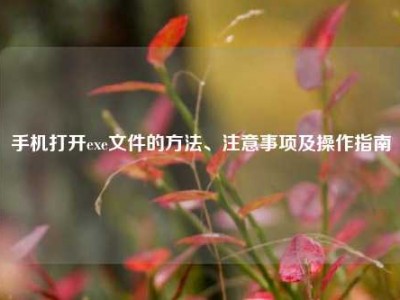 手机打开exe文件的方法、注意事项及操作指南